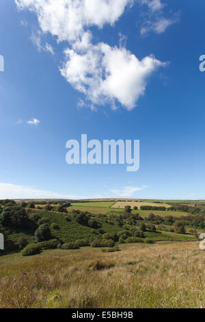 Sanfte Hügel des Exmoor mit blauem Himmel und flauschigen Wolken Stockfoto