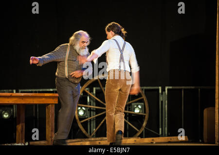 Piemont, Provinz Turin, Italien. 25. Juli 2014. Grugliasco Le Serre Performance "Timber" durch kanadisches Unternehmen Cirque Alfonse Credit: Wirklich einfach Star/Alamy Live-Nachrichten Stockfoto