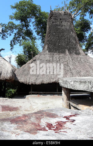 Spuren von Blut von einem rituell geschlachteten Büffel auf den Steinplatten des traditionellen Dorfes Waitabar, Sumba, Indonesien Stockfoto