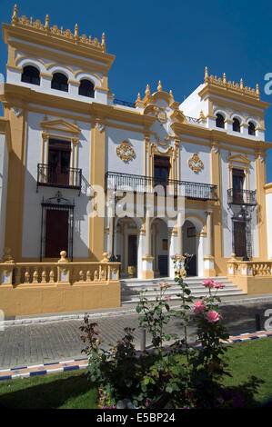 Altes Rathaus, La Palma del Condado, Huelva-Provinz, Region von Andalusien, Spanien, Europa Stockfoto