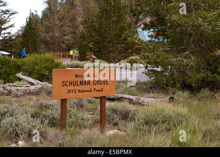 Willkommen Sie Schild am Visitor Center Schulman Grove alten Bristlecone Kiefer Wald im Inyo National Forest Kalifornien Stockfoto