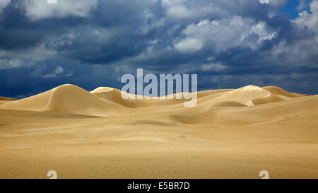Regen-spotted Sanddünen und Gewitterwolken im Nambung National Park, Western Australia. Stockfoto