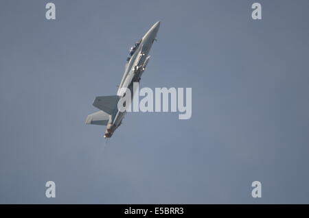 Dieses Bild ist von der F18 Super Hornet Stockfoto