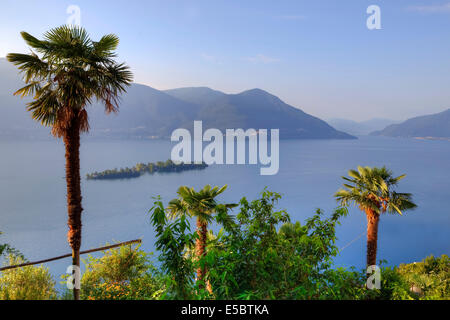 Brissago Inseln, Lago Maggiore, Tessin, Schweiz Stockfoto