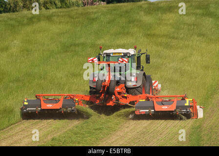 Traktor zieht Grass-Cutter schneiden Rasen für die Herstellung von Heu Stockfoto