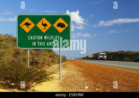 Tierwelt-Warnzeichen entlang einer Autobahn in West-Australien - Känguru, emu, Echidna. Stockfoto