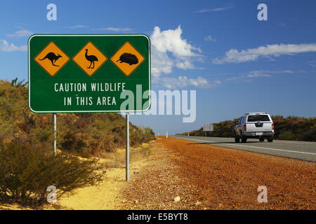 Tierwelt-Warnzeichen entlang einer Autobahn in West-Australien - Känguru, emu, Echidna. Stockfoto