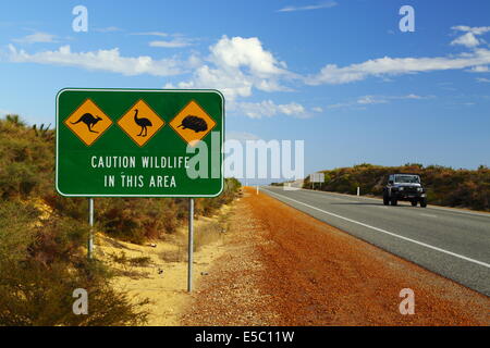 Tierwelt-Warnzeichen entlang einer Autobahn in West-Australien - Känguru, emu, Echidna. Stockfoto