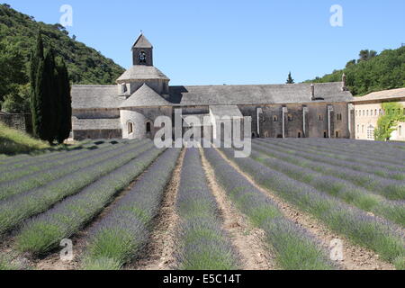 Abtei von Senanque in Provence, Frankreich Stockfoto