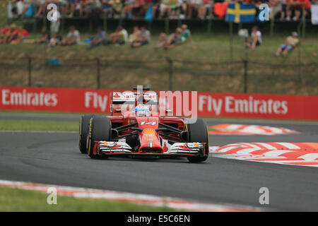 Budapest, Ungarn. 27. Juli 2014. Ungarische F1 Grand Prix-Rennen aus dem Hungaroring. Fernando Alonso von Scuderia Ferrari beendet 2.Platz Credit: Action Plus Sport/Alamy Live News Stockfoto