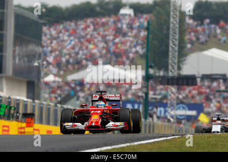 Budapest, Ungarn. 27. Juli 2014. Motorsport: FIA Formel 1 Weltmeisterschaft 2014, Grand Prix von Ungarn, #14 Fernando Alonso (ESP, Scuderia Ferrari), Credit: Dpa picture-Alliance/Alamy Live News Stockfoto