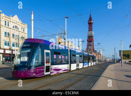 Straßenbahn an der Promenade vor Blackpool Tower, The Golden Mile, Blackpool, Lancashire, UK Stockfoto