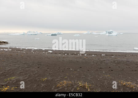 Schwarzer Strand und Eisberge auf Disko Insel in Grönland Stockfoto