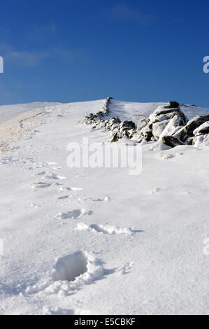 Nächsten zum Trocknen Steinmauer Fußspuren im Schnee auf dem Grat zwischen Benyellary und Merrick Schottland Stockfoto