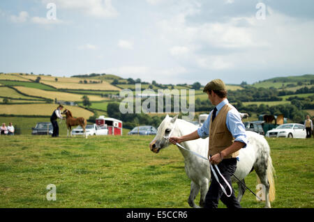 Pferd-Handler auf Kirmes Stockfoto