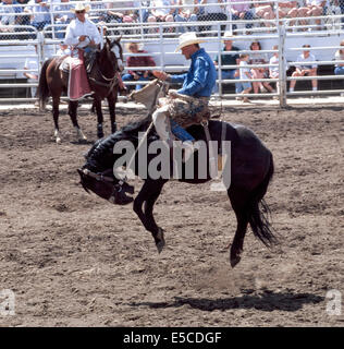 Ein unruhiges Wildpferd springt komplett aus dem Boden, die versuchen, sein Reiter im Sattel Bronc Reiten Ereignis bei einem Rodeo in Schwestern, Oregon, USA werfen. Stockfoto