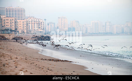 Atlantik Küste, Morgen am Strand. Tanger, Marokko Stockfoto