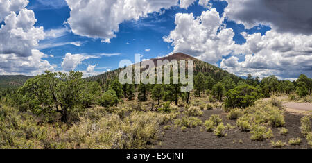 Sunset Crater Volcano National Monument, Arizona Stockfoto