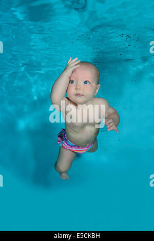 Babyswimming, Baby, Tauchen unter Wasser im Pool Stockfoto