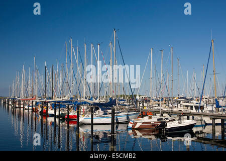 Segelboote in der Marina, Grömitz, Schleswig-Holstein, Deutschland Stockfoto