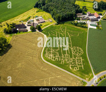 Luftaufnahme, Mais Labyrinth in Form von der Statue von Christus den Erlöser in Rio De Janeiro für die FIFA WM 2014, Selm Stockfoto