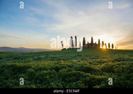 Bauernhof mit Zypressen, Sonnenaufgang, UNESCO World Heritage Site Val d &#39; Orcia, in der Nähe von Pienza, Provinz Siena, Toskana, Italien Stockfoto
