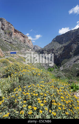 Kourtaliotiko Schlucht, Megalopotamos Fluss, Rethymno, Kreta, Griechenland Stockfoto