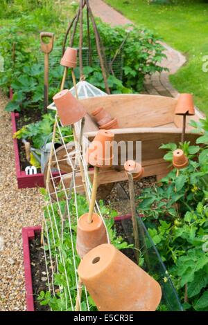 Blick auf kleine Hochbeet mit Garten Erbsen, "Kelvedon Wonder", unterstützt von Stöcken und Garten Bindfäden und Outdoor-Tomaten, England Stockfoto