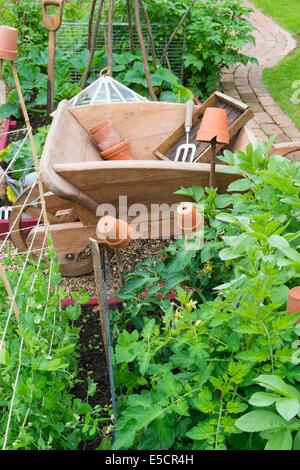 Blick auf kleine Hochbeet mit Garten Erbsen, "Kelvedon Wonder", unterstützt von Stöcken und Garten Bindfäden und Outdoor-Tomaten, England Stockfoto