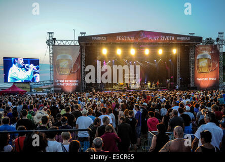 Liberec, Tschechische Republik. 26. Juli 2014. Das Musikfestival Benatska Noc weiter in Vesec areal in Liberec, Tschechische Republik, Samstag, 26. Juli 2014. © Radek Petrasek/CTK Foto/Alamy Live-Nachrichten Stockfoto