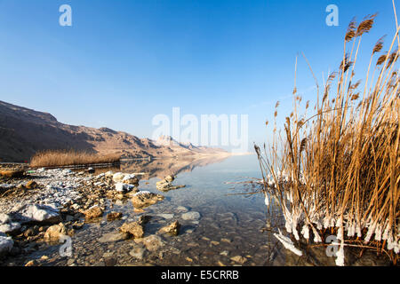 Israel, Totes Meer Salz Crystalization verursacht durch Wasserverdunstung Stockfoto