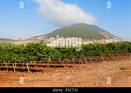 Berg Tabor befindet sich im unteren Galiläa, Israel, am östlichen Ende von Jezreel Senke Stockfoto