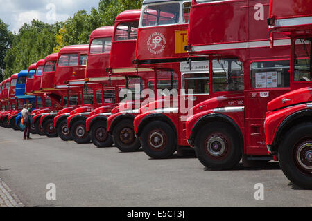 Zeile der Routemaster-Busse Stockfoto