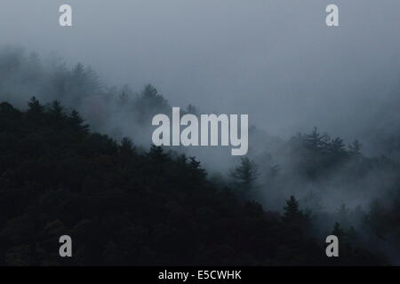 Nebel Hüllen Bergrücken um Cades Cove in den Great Smoky Mountains National Park, Tennessee, USA. Stockfoto