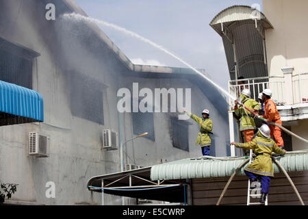 Phnom Penh, Kambodscha. 28. Juli 2014. Feuerwehrleute Löschen der Flammen an Chang Sheng Textilfabrik in Phnom Penh, Kambodscha, am 28. Juli 2014. Ein riesiges Feuer völlig zerstört eine Textilfabrik und tötete einen chinesischen Staatsangehöriger in den Vorort der Hauptstadt Phnom Penh Montag früh, bestätigt ein Feuerwehr-Polizei-Chef. Bildnachweis: Phearum/Xinhua/Alamy Live-Nachrichten Stockfoto