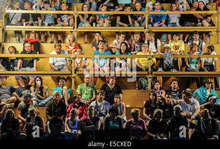 Liberec, Tschechische Republik. 26. Juli 2014. Das Musikfestival Benatska Noc weiter in Vesec areal in Liberec, Tschechische Republik, Samstag, 26. Juli 2014. © Radek Petrasek/CTK Foto/Alamy Live-Nachrichten Stockfoto