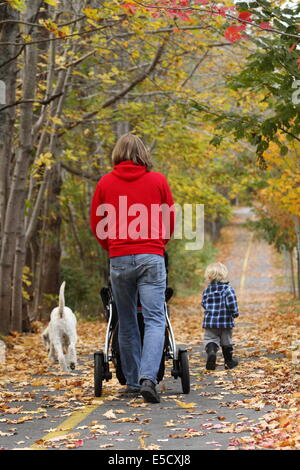 Ein Vater nimmt seinen Sohn und Hund für einen Spaziergang entlang eines Pfads Übung mit Herbstlaub in Halifax, Nova Scotia - Kanada bedeckt. Stockfoto