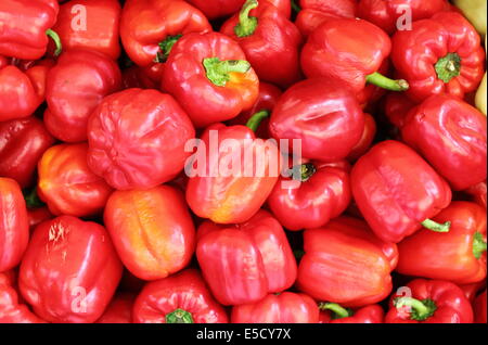 Ein paar rote Paprika in einem Marktstand zu verkaufen Stockfoto