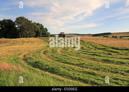 Landwirt in einem Traktor schneiden eine Wiese in Eyam Ort Dorf, Derbyshire, Peak District National Park, England, UK. Stockfoto