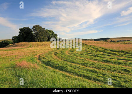 Landwirt in einem Traktor schneiden eine Wiese in Eyam Ort Dorf, Derbyshire, Peak District National Park, England, UK. Stockfoto