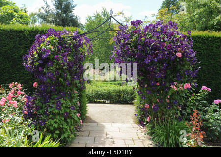 Pergola von Clematis im Garten bei Rosemoor, Torrington, Devon, England, UK Stockfoto