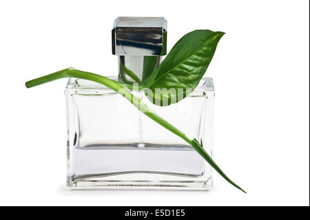 Parfüm-Flasche und grünes Blatt isoliert auf weißem Hintergrund Stockfoto