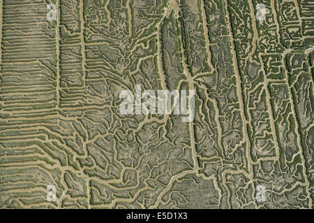 Eine abstrakte Luftaufnahme der Salzwiesen auf dem River Crouch in Essex Stockfoto