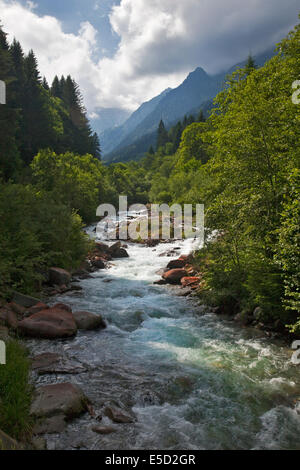 Torrent in Val Borzago, Trentino, Italien Stockfoto