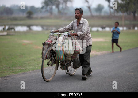 Ein Mann mit Last auf dem Fahrrad, Chattisgadh, Indien Stockfoto