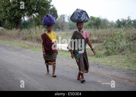 Stammes-Frauen zu Fuß auf der Straße tragen Last auf ihrem Kopf, Baiga Stamm, Karangra Dorf, Chattisgadh, Indien Stockfoto