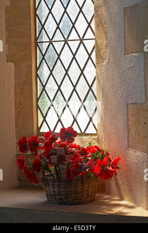 Licht durch Fenster strömend fällt auf Korb mit roten Mohnblumen in der St. Mary's Church in Tyneham Village, Dorset UK im Juli - Saint Marys Church St Mary Stockfoto