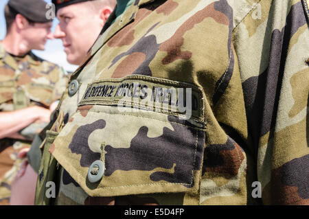 Brust-Patch eines Soldaten aus der irischen Armee und Verteidigung-Kräfte Stockfoto