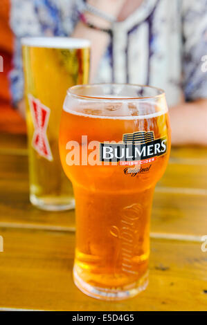 Pint Bulmers Cider und ein Budweiser Bier Stockfoto
