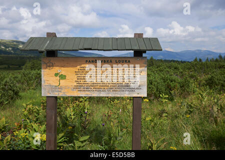 Ausblick auf Pancavska Wiese, Pancavska Louka, Zlate Navrsi, Riesengebirge, Nationalpark Riesengebirge, Tschechische Republik Stockfoto